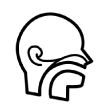 Echo